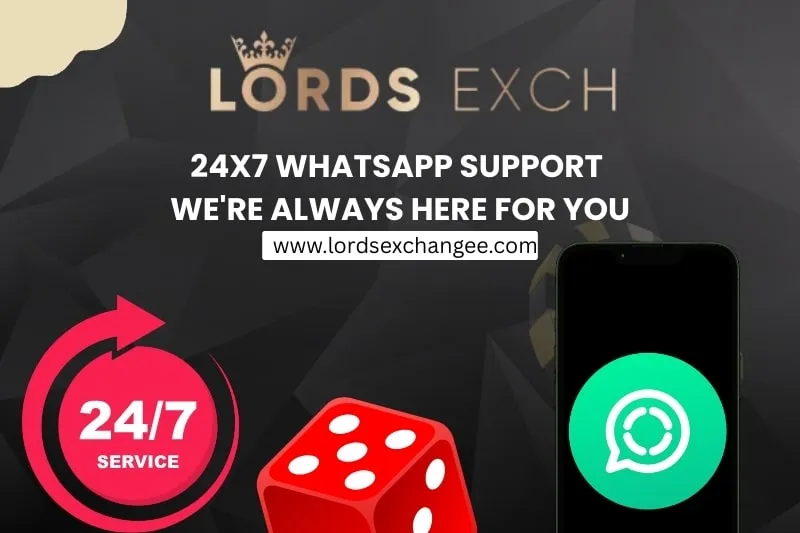 24x7 WhatsApp Support – We're Always Here for You